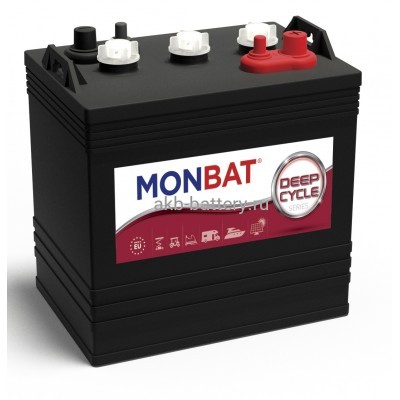 Тяговый Аккумулятор MONBAT MP6V DC-240