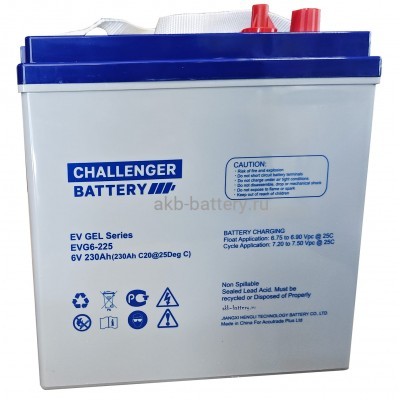 Тяговый аккумулятор Challenger EVG6-225