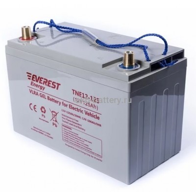 Тяговый аккумулятор EVEREST TNE 12-125