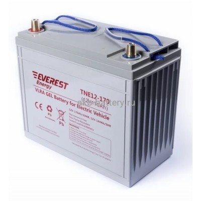 Тяговый аккумулятор EVEREST TNE 12-170