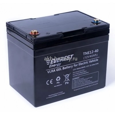 Тяговый аккумулятор EVEREST TNE 12-40