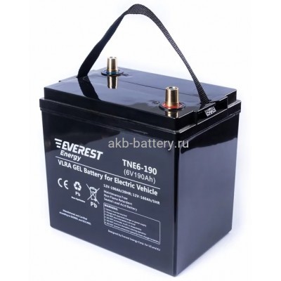 Тяговый аккумулятор EVEREST TNE 6-190