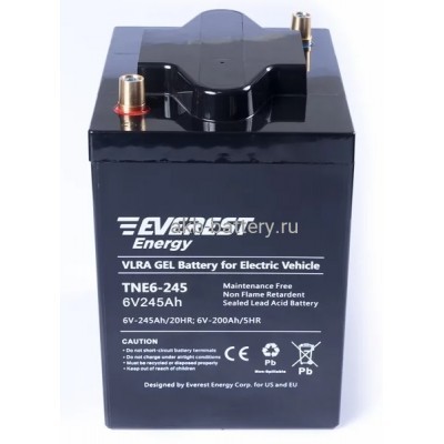 Тяговый аккумулятор EVEREST TNE 6-245
