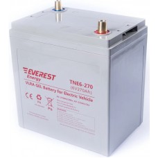 Тяговый аккумулятор EVEREST TNE 6-270