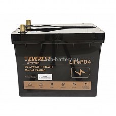 Аккумулятор Everest LFP-24V60Аh-PRO + LCD + Bluetooth