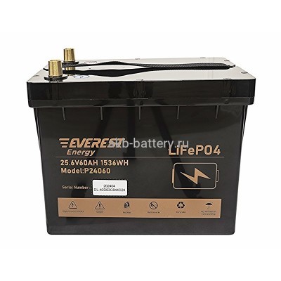 Тяговый Аккумулятор Everest LFP-24V60Аh-PRO + LCD + Bluetooth