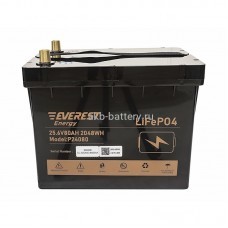 Аккумулятор Everest LFP-24V80Аh-PRO + LCD + Bluetooth