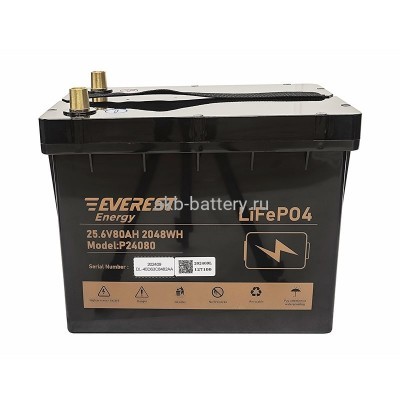 Тяговый Аккумулятор Everest LFP-24V80Аh-PRO + LCD + Bluetooth
