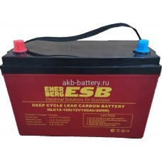 Тяговый аккумулятор ESB HLC12-100