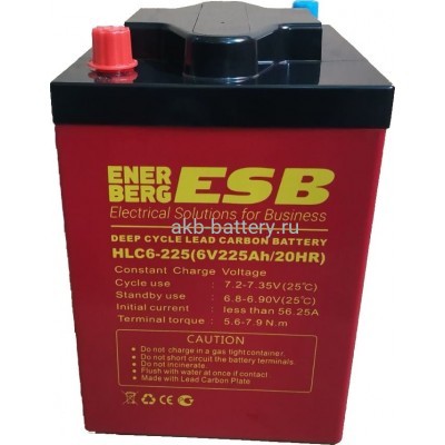 Тяговый аккумулятор ESB HLC6-225