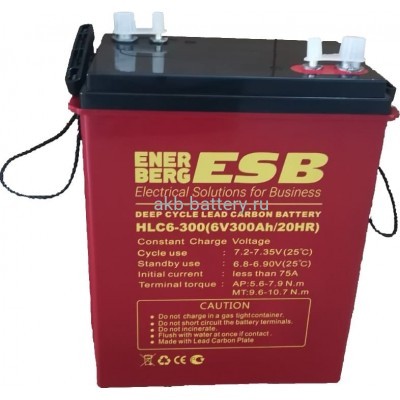 Тяговый аккумулятор ESB HLC6-300