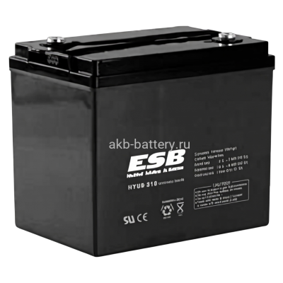 Тяговый аккумулятор ESB HTL6-200