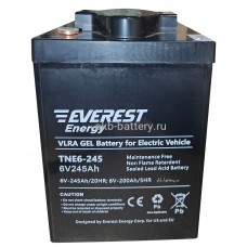 Тяговый аккумулятор EVEREST TNE 6-245 Тяговый аккумулятор EVEREST TNE 6-245