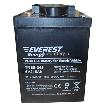 Тяговый аккумулятор EVEREST TNE 6-245