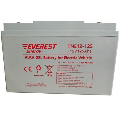 Тяговый аккумулятор EVEREST TNE 12-125