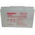 Тяговый аккумулятор EVEREST TNE 12-125 Тяговый аккумулятор EVEREST TNE 12-125