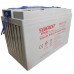 Тяговый аккумулятор EVEREST TNE 12-125