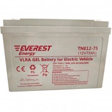 Тяговый аккумулятор EVEREST TNE 12-75