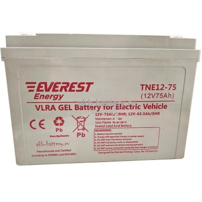 Тяговый аккумулятор EVEREST TNE 12-75