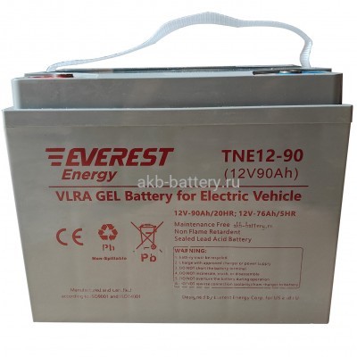 Тяговый аккумулятор EVEREST TNE 12-90 (6-EVF-70)