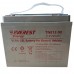 Тяговый аккумулятор EVEREST TNE 12-90 (6-EVF-70) Тяговый аккумулятор EVEREST TNE 12-90 (6-EVF-70)