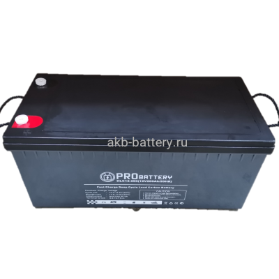 Тяговый аккумулятор PROBATTERY HLC12-200
