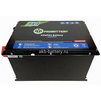 Тяговый аккумулятор PROBATTERY В-LFP24-205FM
