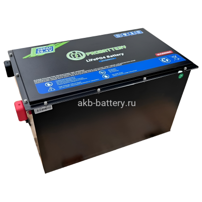 Тяговый аккумулятор PROBATTERY В-LFP48-460FM