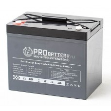 Тяговый аккумулятор PROBATTERY HLС12-85