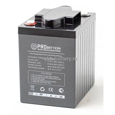 Тяговый аккумулятор PROBATTERY HLC6-225