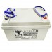 Тяговый аккумулятор RuTrike 6-EVF-60 (12V60A/H C3)