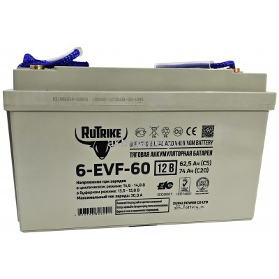 Тяговый аккумулятор RuTrike 6-EVF-60 (12V60A/H C3)