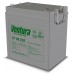 Тяговый аккумулятор Ventura GT 06 235 М8