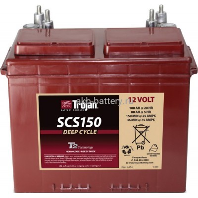 для лодочных моторов Trojan SCS150