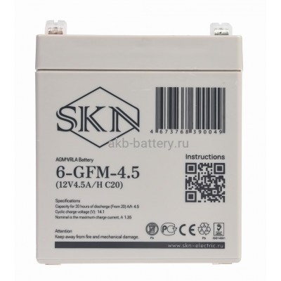 Аккумулятор SKN 6-GFM-4.6