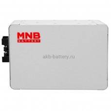 Аккумуляторная батарея LiFePO4 MNB LFPW-12.8-50 12.8В, 50Ач