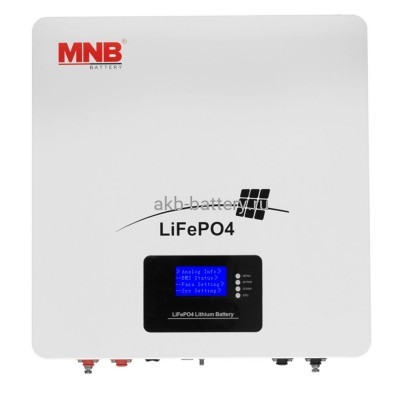 Аккумуляторная батарея LiFePO4 MNB LFPW-25.6-100 LCD  25.6 В, 100 Ач.