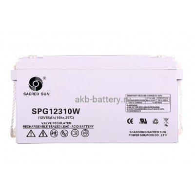 Аккумулятор Sacred Sun SPG12310W