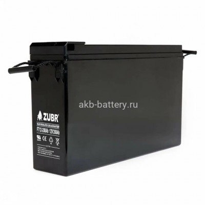 АКБ NPP FT 12-200