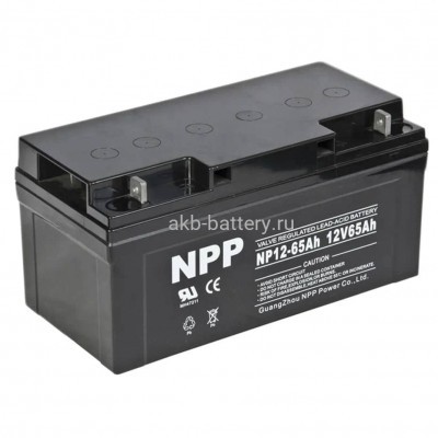 АКБ NPP NP 12-65