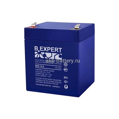 АКБ EXPERT BHR 12-5