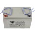Тяговый аккумулятор RuTrike 6-EVF-100 (12V100A/H C3)