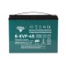 Тяговый аккумулятор RuTrike 6-EVF-45 (12V45A/H C3)