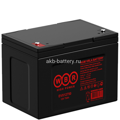 Тяговый аккумулятор WBR EVX12750